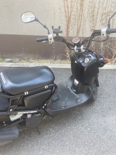 実動車 HONDA ZOOMER ホンダ ズーマー セル一発