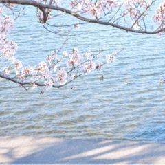 写真仲間を募集しています！