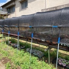 多肉植物用、遮光シート