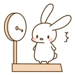 ダイエットを仕事にしませんか✨