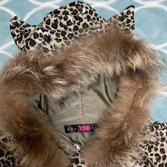 🐆:) JSG 猫耳パーカーの画像