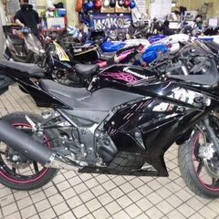 NO.4224　Ｎｉｎｊａ２５０Ｒ（ニンジャ２５０Ｒ） 水冷４サ...