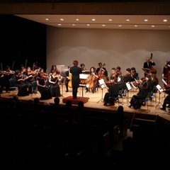 初心者歓迎！弦楽合奏やりたい人〜🎻団員募集中