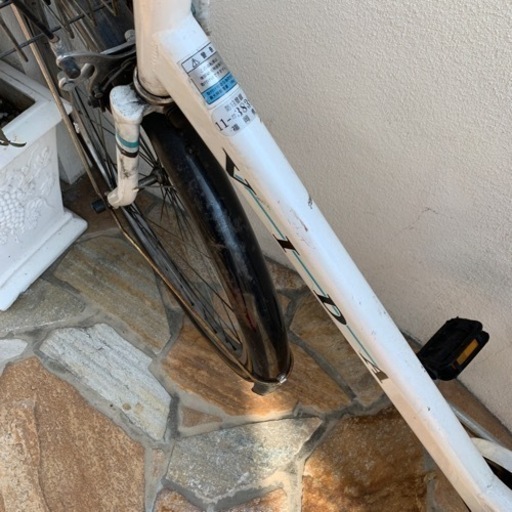 サイクル　自転車