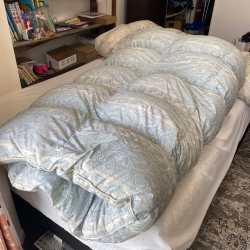 これだけで十分！　ホワイトダック　ダウン93％　購入30798円