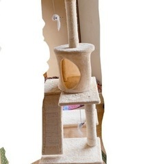 キャットタワー☆4月中のみ2500円‼️の画像