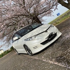 エスティマアエラス50前期
