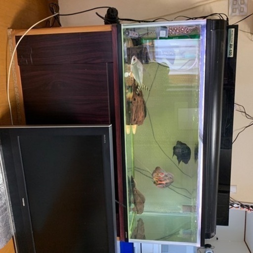 1200規格水槽その他