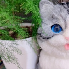 羊毛フェルト猫ちゃんの画像