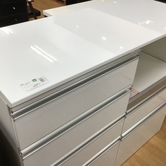 Temnopleurus alexandriアルビノ個体ウニ殻