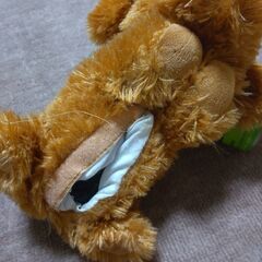 トイプードル　かわいいワンちゃん　動いたり鳴いたり甘えたりの画像