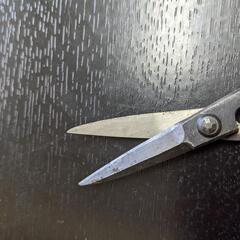 小枝切りバサミ　の画像