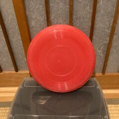 フリスビーとボール