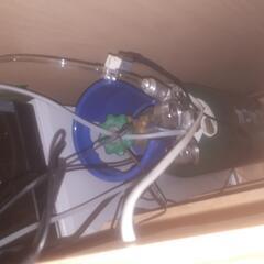 お持ち帰り90cm水槽アクアリュウム台もフルセットですの画像