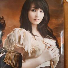 水樹奈々 T.M. 西川貴教 革命デュアリズム A3 光沢 ポスターの画像