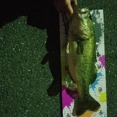 琵琶湖で1人乗りボートデビュー - 大津市