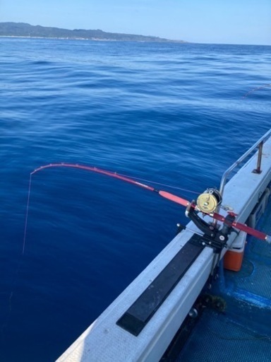 泳がせ釣りタックル