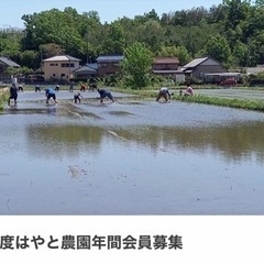 家族で農業体験