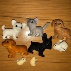 リカちゃん　ペットショップの画像