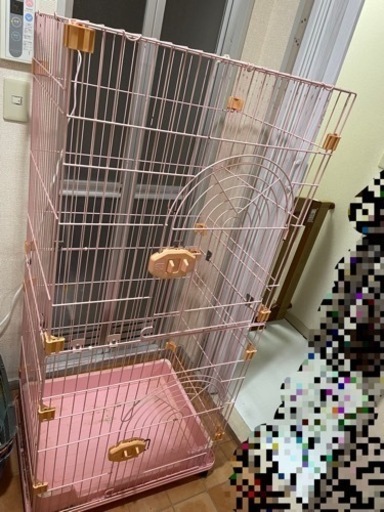 キャットゲージ4段