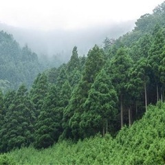 波江 宿舎あり 除染関係 アルバイト