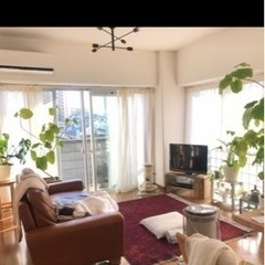 海外製　天然おしゃれラグマット絨毯の画像