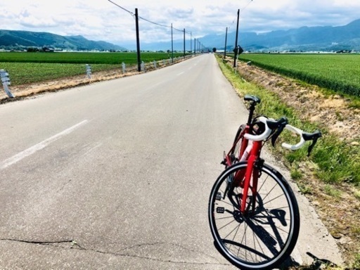 TREK トレック　エモンダ　emonda alr4 ロードバイク
