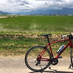 TREK トレック　エモンダ　emonda alr4 ロードバイク