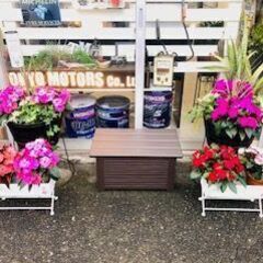 整備士正社員　営業正社員　アルバイト見習いシルバー可　業績好調につき増員　急募！！　の画像