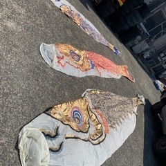 不要になった鯉のぼりを譲ってください