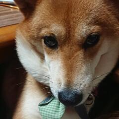 GWまだ間に合います！