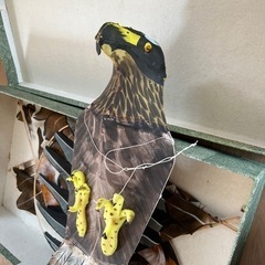 ※決まりました　リアル凧　鷹