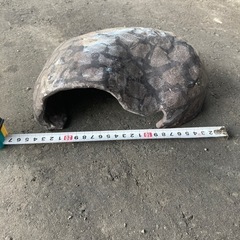 ペット　ハリネズミ　リクガメ  爬虫類　両生類の隠れ家の画像