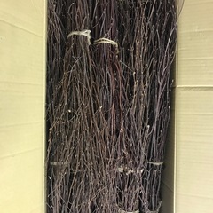 枝　25束　未使用商材の画像