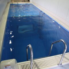 イルカに会えるダイビングショップ　あなたも素敵な海の世界を覗いてみませんか？の画像