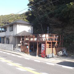 イルカに会えるダイビングショップ　あなたも素敵な海の世界を覗いてみませんか？の画像