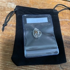 パラサイト隕石(ケニア・セリコ産)　ハート　ペンダントトップ　13mm×14mm　新品未使用品