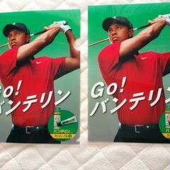 復活!　タイガー・ウッズ　クリアファイル4枚の画像