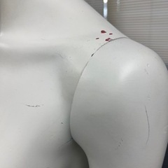 アパレル店プロ使用　全身マネキンの画像
