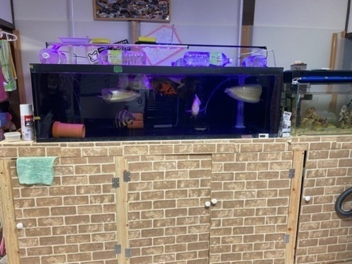 1500x600x450 オーバーフロー水槽