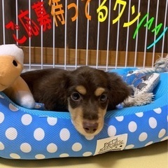 🥝キウイ始めました〜‼️(^^)🥝の画像