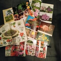 園芸関連本  図鑑　差し上げますの画像