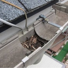 枯れ葉が詰まってしまった雨樋の清掃 - 地元のお店