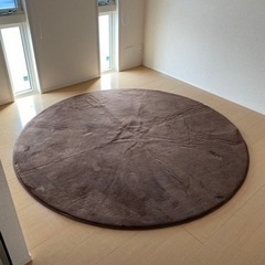 ラグ美品