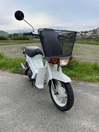 スズキ MOLLET 初期型