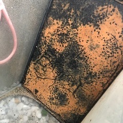 断捨離品   水槽2個受渡し予定の方決まりました。の画像