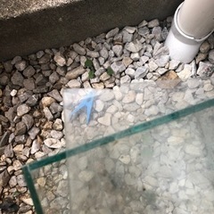 断捨離品   水槽2個受渡し予定の方決まりました。の画像
