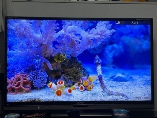 シャープ 60型 フルHDアクオス LC-60L5 FireTV付き