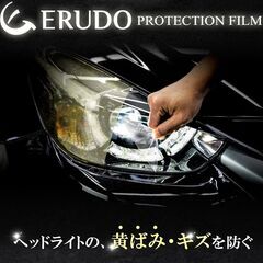 １０％OFF　ヘッドライト　プロテクションフィルム　車種専用　カ...