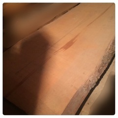 銀杏　盤木1枚　イチョウ　＊カウンター　まな板　テーブルの画像